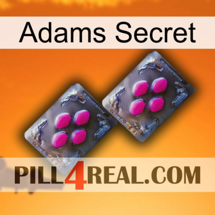 Adams Secret 01